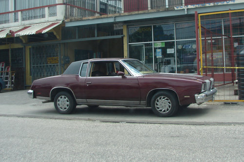 DSC01674.JPG