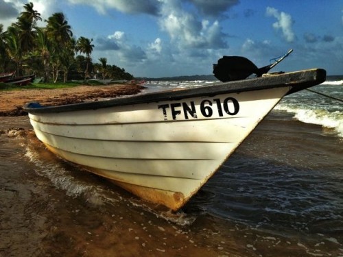 ImageUploadedByTriniTuner1386467677.449693.jpg