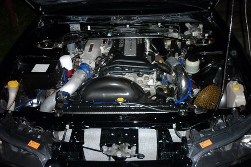 P1000038 (800x531).jpg