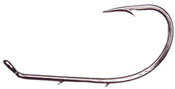 428006.jpg