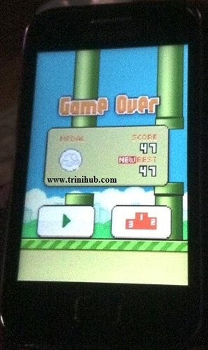 1454938_10201230557837451_357817976_n.jpg