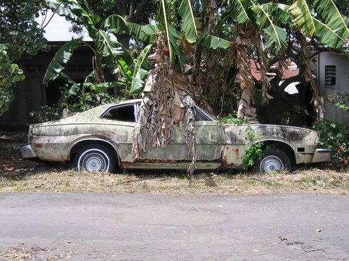 car_ole car.jpg
