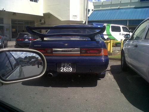IMG00061-20110121-1303.jpg