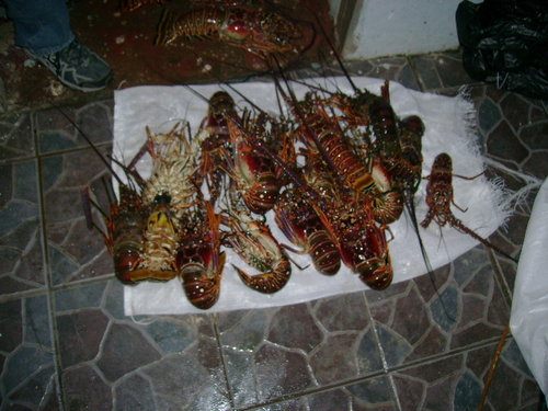 DSC01260.JPG