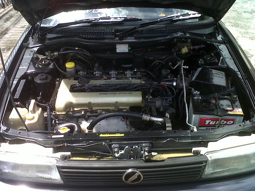 IMG00182-20120203-1200.jpg