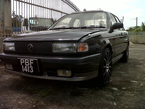 IMG00181-20120203-1159.jpg