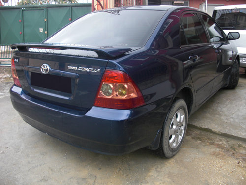 81c.jpg