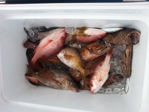 20140417_110532.jpg