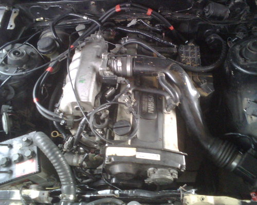 IMG00072.jpg