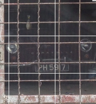 ImageUploadedByTriniTuner1399024978.082324.jpg