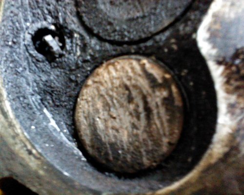 12526_502141e44e2ed.jpg