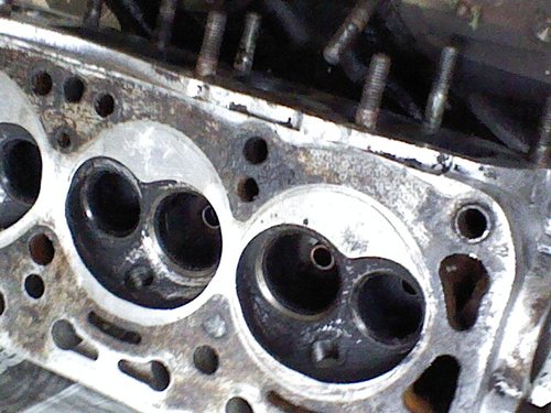 12526_50249294d04d0.jpg