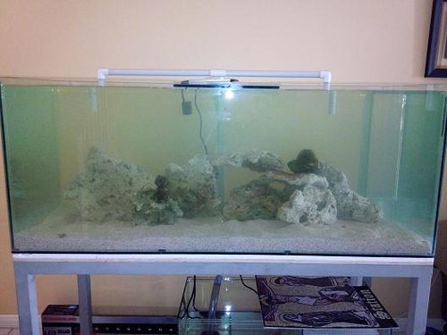 Saltwater Aquarium.jpg