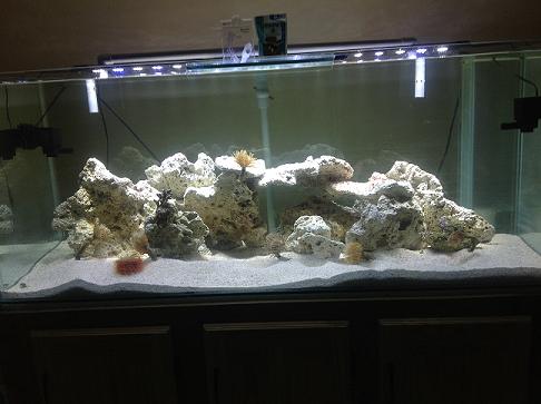 photo 3 (2).JPG