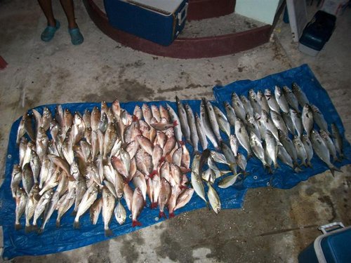 fishing_day_114 (Medium).jpg