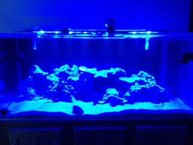 Blue Leds on Aquarium (3).jpg