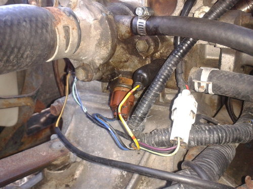 wires3.jpg