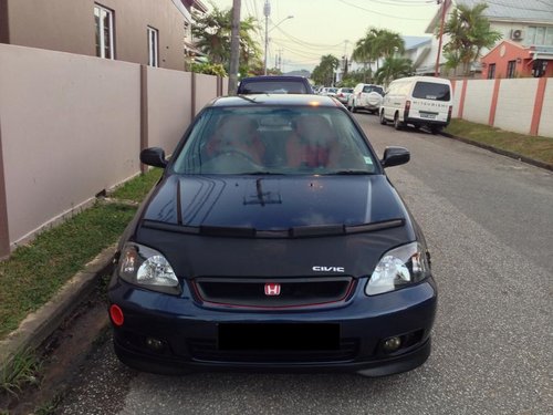 trini 2.jpg