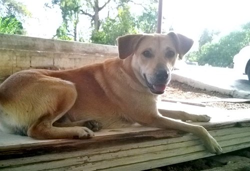 WP_20140321_015.jpg