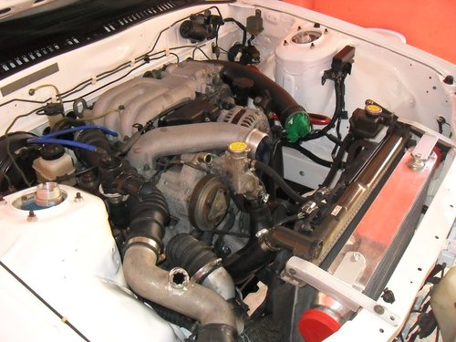 SDC14206.JPG