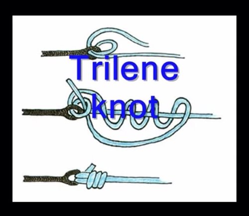 ImageUploadedByTriniTuner1403794902.771144.jpg