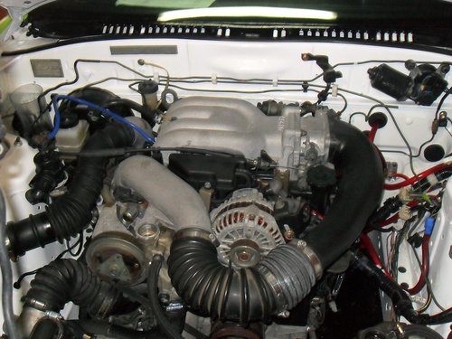 SDC14240.JPG