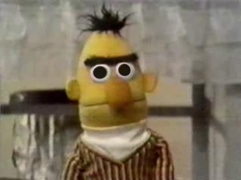 97b17_ORIG-TheBertStare.jpg