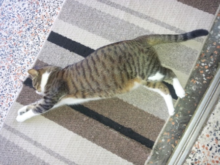 20140619_131647.jpg