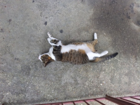 20140623_143329.jpg