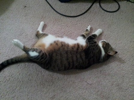 20140813_091918.jpg