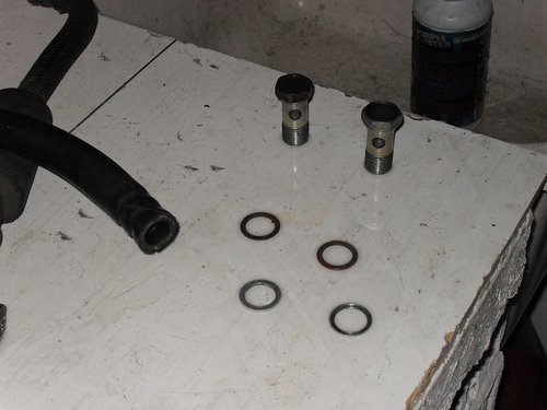 SDC14378.JPG
