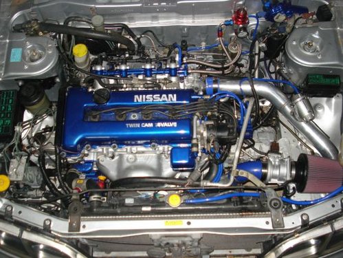 20090502230314_DSC00061.jpg