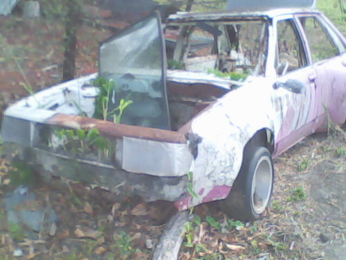 IMG0037A.jpg