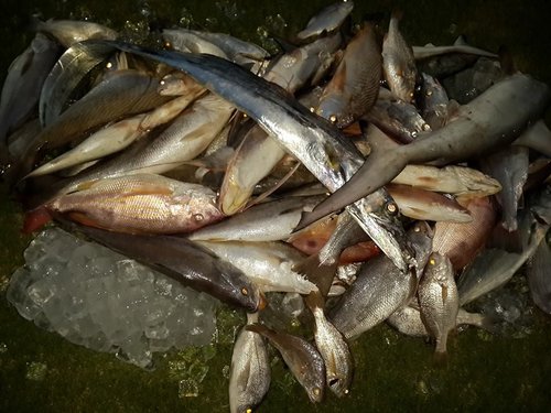 patos.jpg