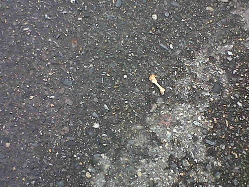 IMG02798-20140924-1407.jpg