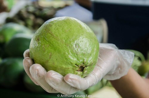 Huge Cayenne Guava.jpg