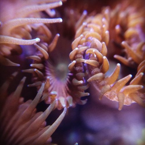 ImageUploadedByTriniTuner1413072404.329010.jpg
