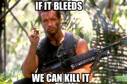 arn.jpg