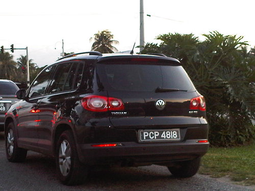 IMG00149-20110311-1816.jpg