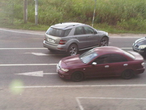 IMG00148-20110311-1640.jpg