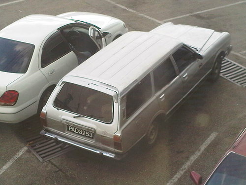 IMG00138-20110311-1634.jpg