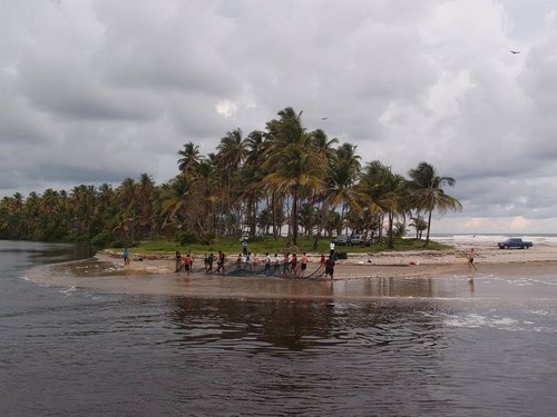 1Marine group and helpers using the beach seine.jpg