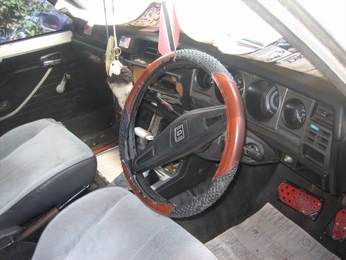 ImageUploadedByTriniTuner1416595540.159052.jpg