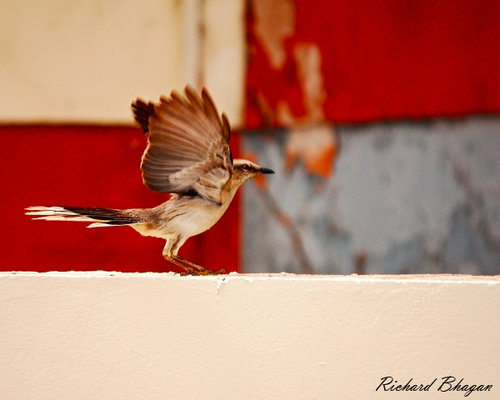 DSC_0021.JPG