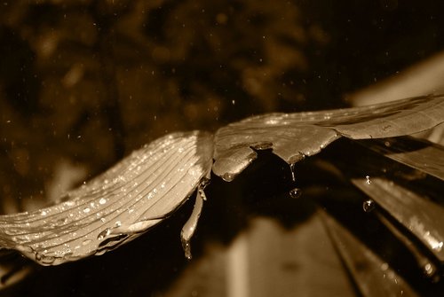 _IGP3921.jpg