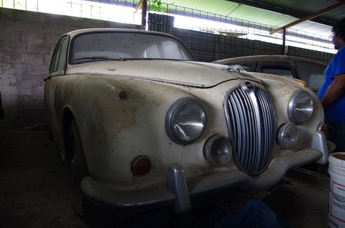IMGP5054.JPG