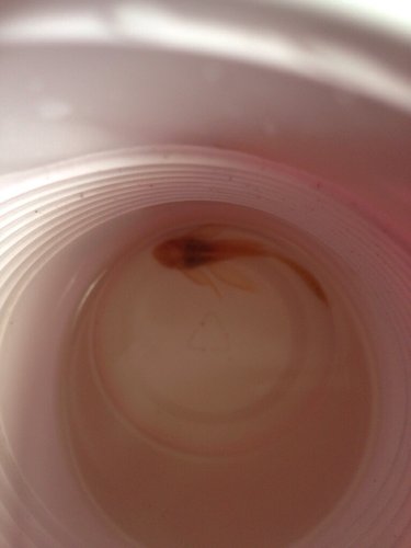 ImageUploadedByTriniTuner1420059409.210008.jpg