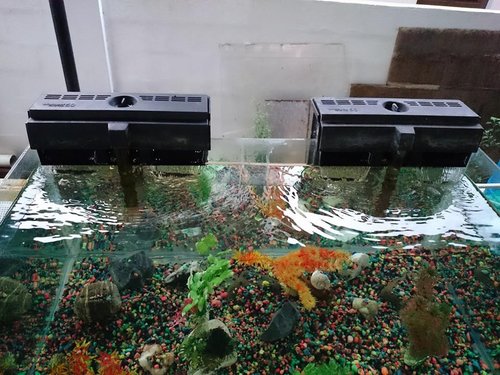 Aquarium3.jpg