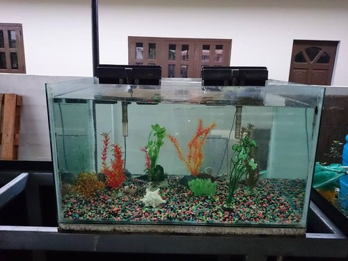 Aquarium1.jpg