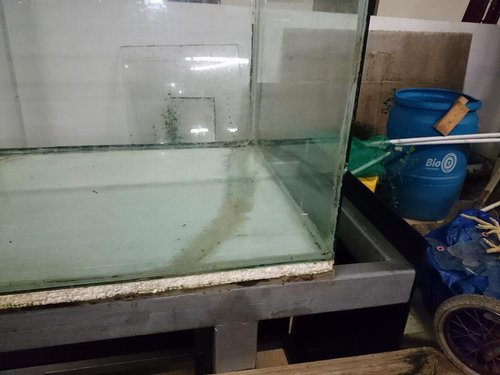 Aquarium2.jpg
